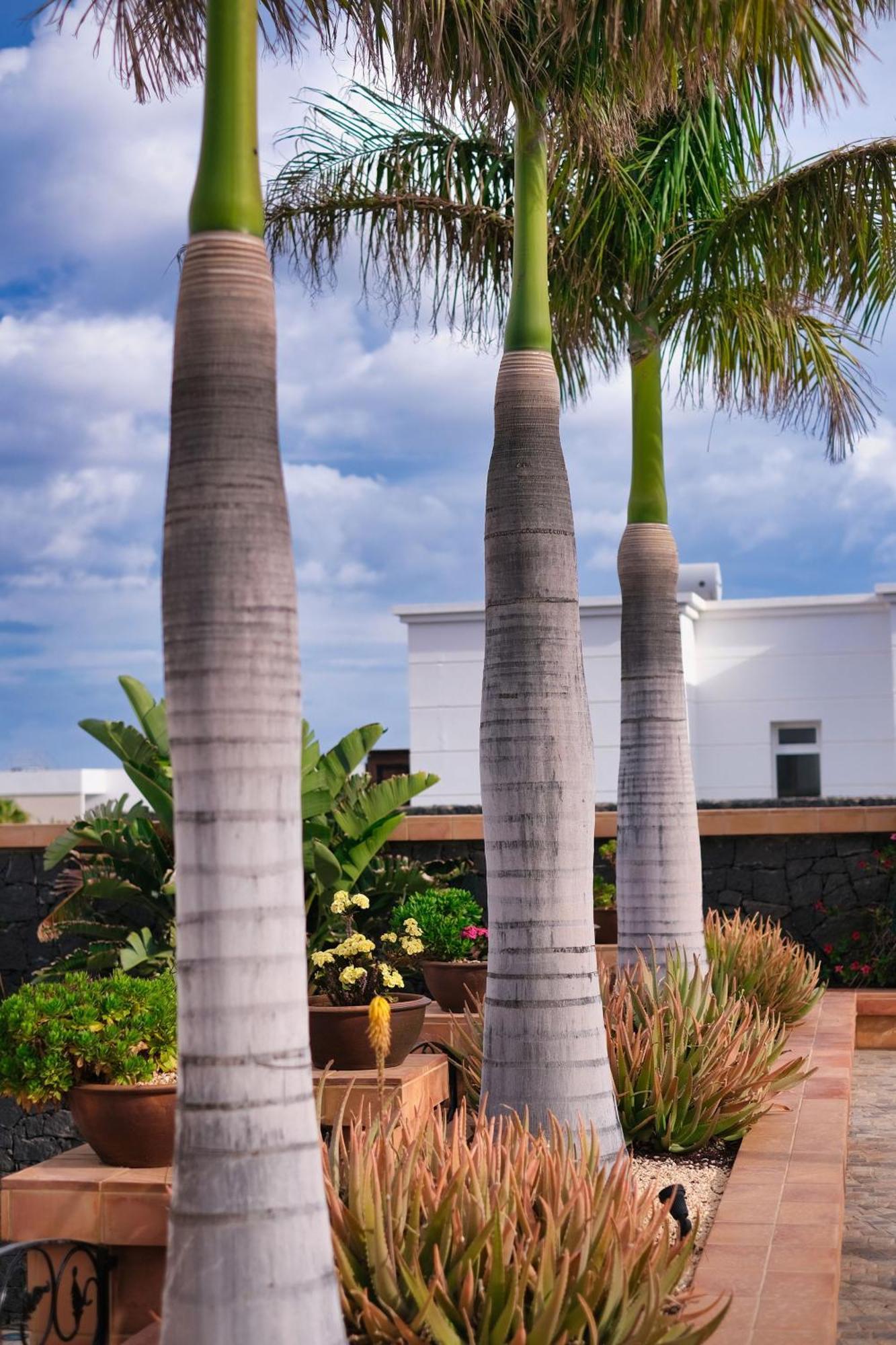 Casa Mia Guest House Puerto Calero Exterior photo